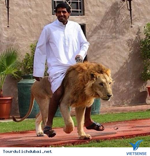 Dubai giàu cỡ nào?Dubai xa hoa ra sao? - Ảnh 4 Dubai giàu cỡ nào?Dubai xa hoa ra sao? - Ảnh 4