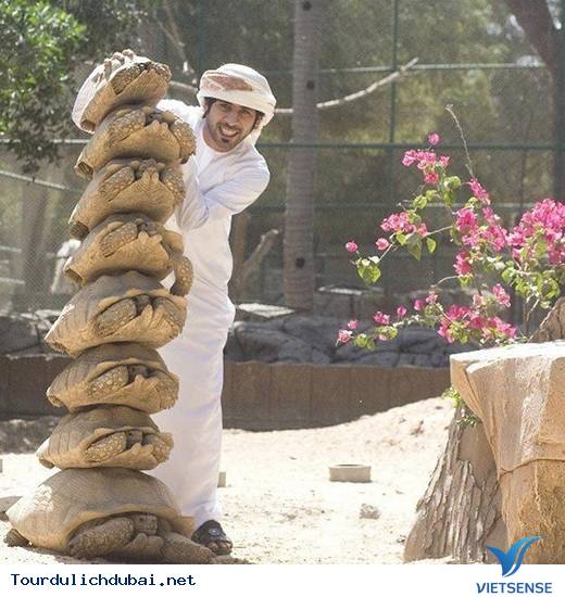 Dubai giàu cỡ nào?Dubai xa hoa ra sao? - Ảnh 2 Dubai giàu cỡ nào?Dubai xa hoa ra sao? - Ảnh 2