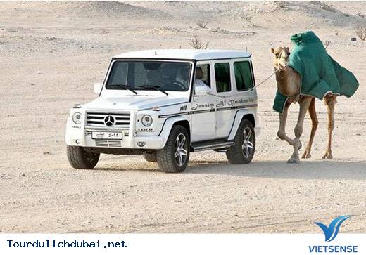 Dubai giàu cỡ nào?Dubai xa hoa ra sao? - Ảnh 19 Dubai giàu cỡ nào?Dubai xa hoa ra sao? - Ảnh 19