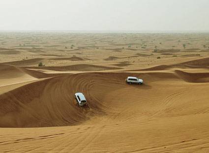 Hành trình Vượt Sa Mạc Safari - Ảnh 1
