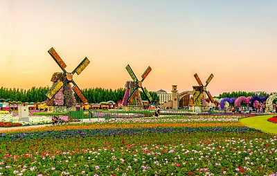 Chiêm Ngưỡng Vườn Hoa Diệu Kỳ Giữa Sa Mạc Ở Dubai Chiêm Ngưỡng Vườn Hoa Diệu Kỳ Giữa Sa Mạc Ở Dubai