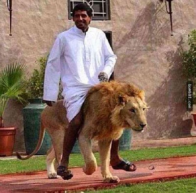 Điều “điên rồ” chỉ có ở Dubai Điều “điên rồ” chỉ có ở Dubai