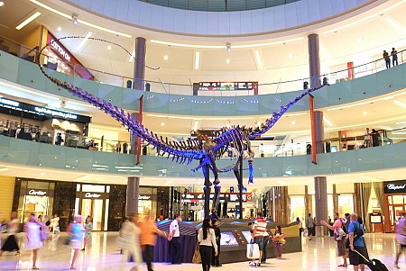 Có Một Dubai Mall Rộng Lớn Dành Cho Du Khách