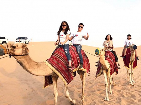 Hà Nội - Dubai - Abu Dhabi | Bay 5* + Nghỉ 4* - Hòa mình vào vẻ đẹp lộng lẫy của mùa xuân Dubai.