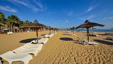 Hà Nội - Dubai - Abu Dhabi - Sa Mạc Safari - Fujairah - Khám Phá Sắc Hoa Và Sự Lộng Lẫy Của Thành Phố Hiện Đại.