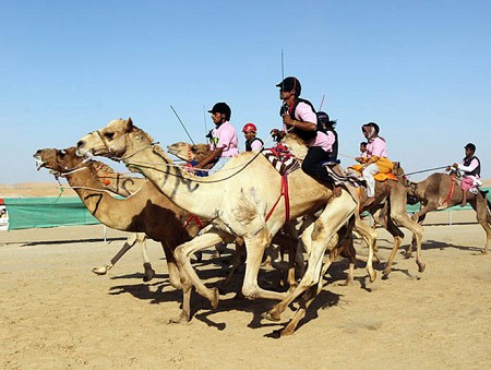 Khám Phá Abu Dhabi Hoa Lệ Từ Hà Nội 6 Ngày 5 đêm Khám Phá Abu Dhabi Hoa Lệ Từ Hà Nội 6 Ngày 5 đêm
