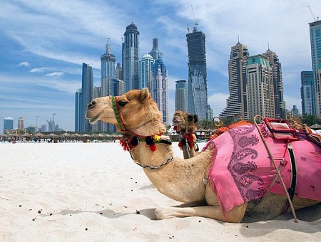 Khám Phá Abu Dhabi Hoa Lệ Từ Hà Nội 6 Ngày 5 đêm Khám Phá Abu Dhabi Hoa Lệ Từ Hà Nội 6 Ngày 5 đêm
