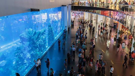 Khám Phá Abu Dhabi Hoa Lệ Từ Hà Nội 6 Ngày 5 đêm Khám Phá Abu Dhabi Hoa Lệ Từ Hà Nội 6 Ngày 5 đêm