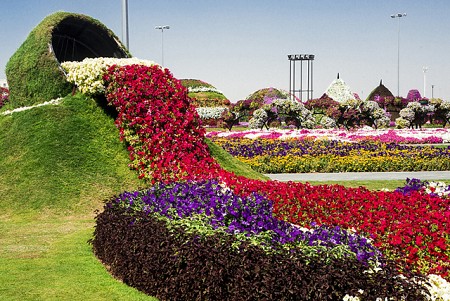 Khám phá vườn hoa lớn nhất thế giới ở Dubai