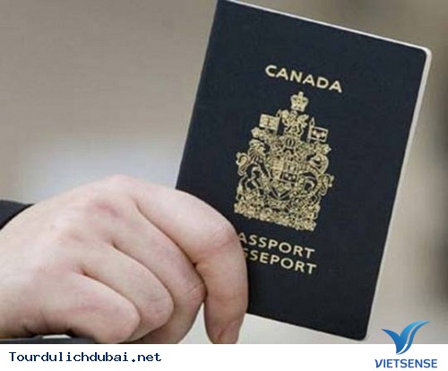 Chủ động trong mọi câu trả lời Chủ động trong mọi câu trả lời