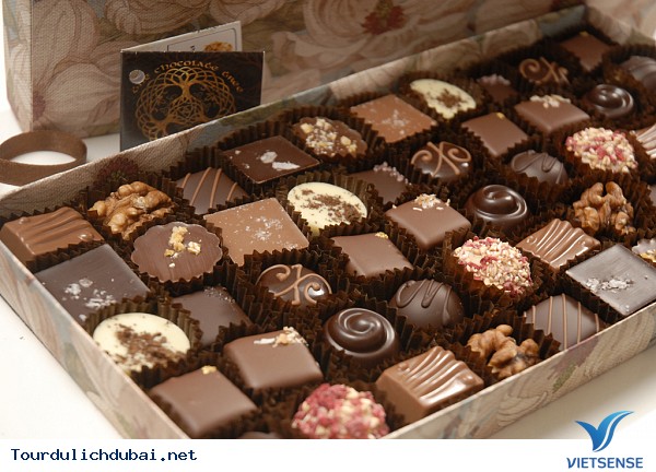 Đồng cát sa mạc vs những chú lạc đà tại Dubai