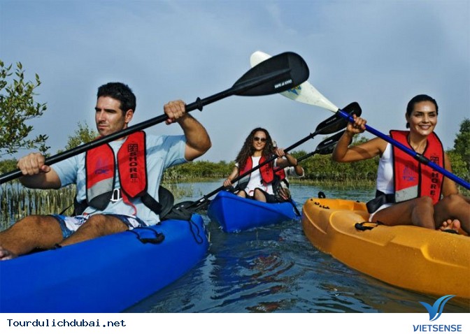 Chèo thuyền kayak giữa rừng đước Chèo thuyền kayak giữa rừng đước