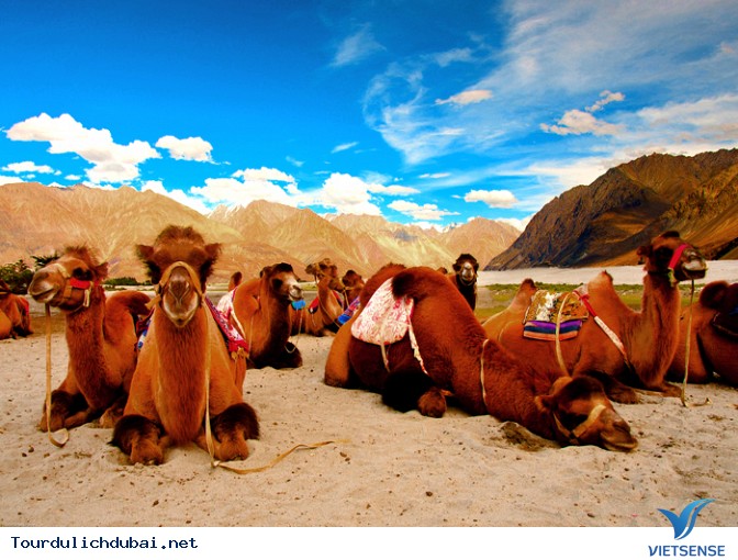 Toàn cảnh Dubai nhìn từ trên cao - Ảnh 22 Toàn cảnh Dubai nhìn từ trên cao - Ảnh 22