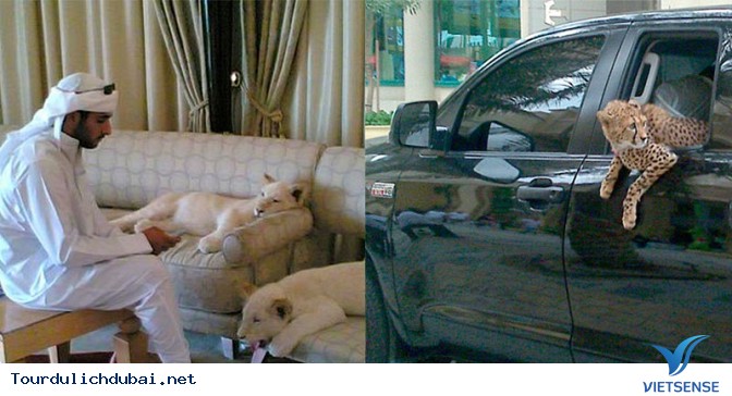 Toàn cảnh Dubai nhìn từ trên cao - Ảnh 15 Toàn cảnh Dubai nhìn từ trên cao - Ảnh 15