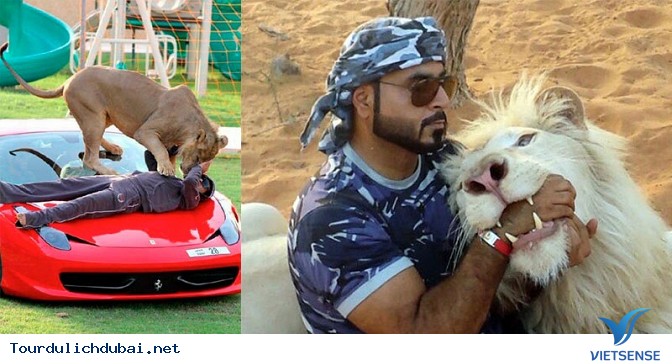 Toàn cảnh Dubai nhìn từ trên cao - Ảnh 14 Toàn cảnh Dubai nhìn từ trên cao - Ảnh 14