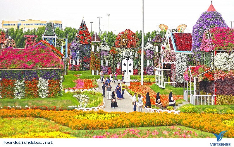 Khuôn viên - Ảnh 2 Khuôn viên - Ảnh 2