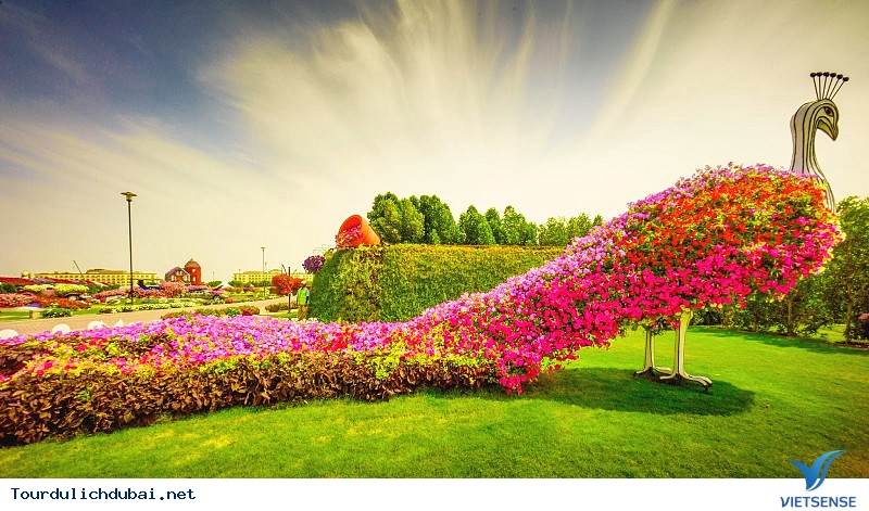 Hệ thống tưới tiêu tái sử dụng Hệ thống tưới tiêu tái sử dụng