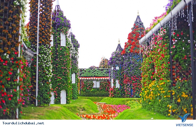 Có Một Vườn Hoa Lớn Nhất Thế Giới Giữa Lòng Sa Mạc Dubai - Ảnh 1 Có Một Vườn Hoa Lớn Nhất Thế Giới Giữa Lòng Sa Mạc Dubai - Ảnh 1