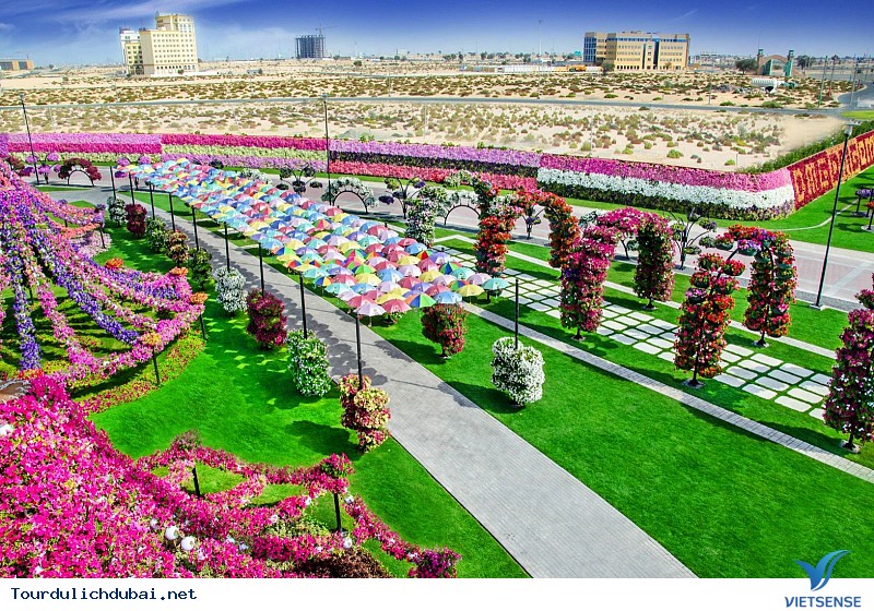 Vườn hoa diệu kỳ Vườn hoa diệu kỳ