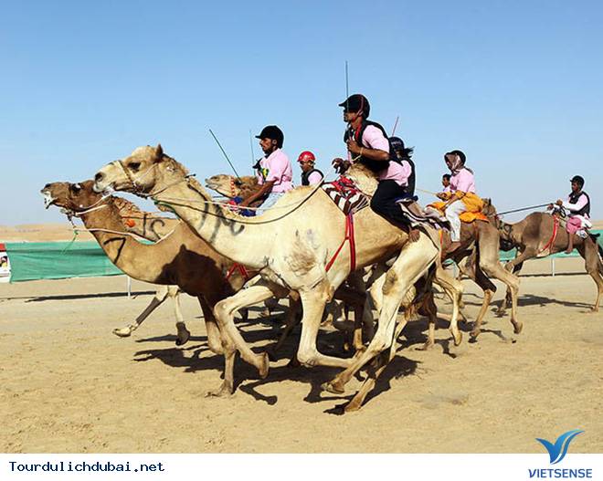 Khám Phá Những Điều UAE Đã Làm Tốt Hơn Những Nơi Khác Trên Thế Giới - Ảnh 6