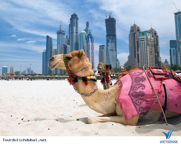 Những Lưu Ý Cần Thiết Khi Đi Cổ Vũ Đội Tuyển Việt Nam Tại UAE - Ảnh 1 Những Lưu Ý Cần Thiết Khi Đi Cổ Vũ Đội Tuyển Việt Nam Tại UAE - Ảnh 1