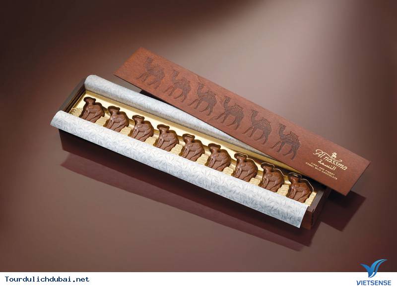 Chocolate sữa lạc đà Chocolate sữa lạc đà