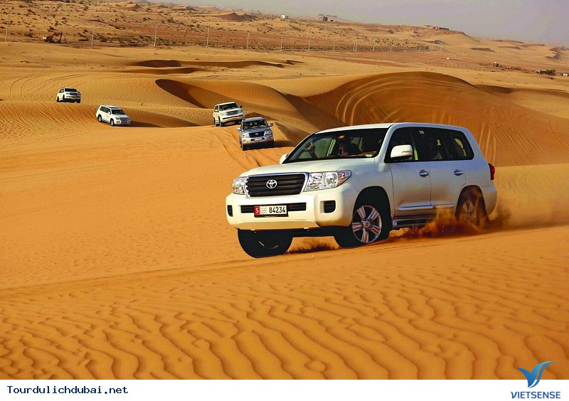 Khám phá Safari - Ảnh 2 Khám phá Safari - Ảnh 2