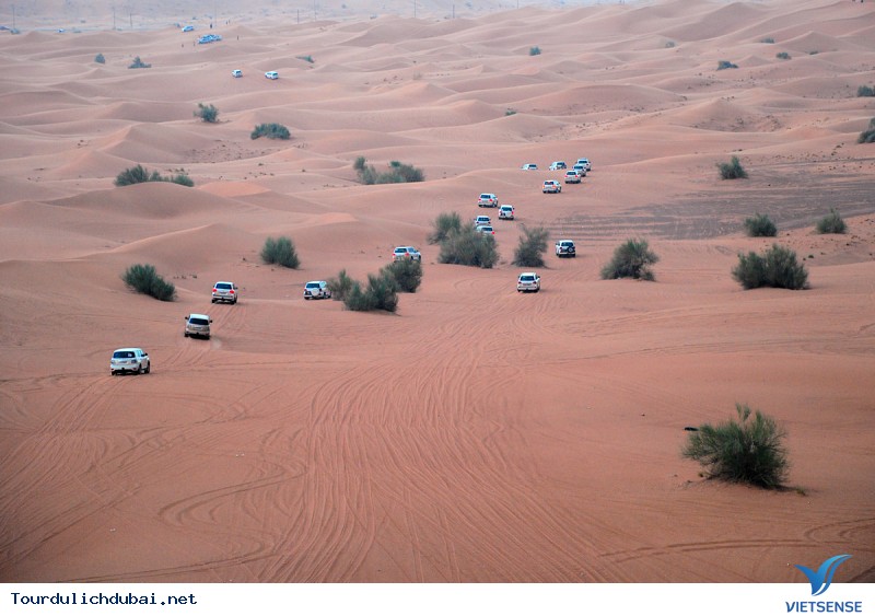 Khám phá Safari - Ảnh 1 Khám phá Safari - Ảnh 1