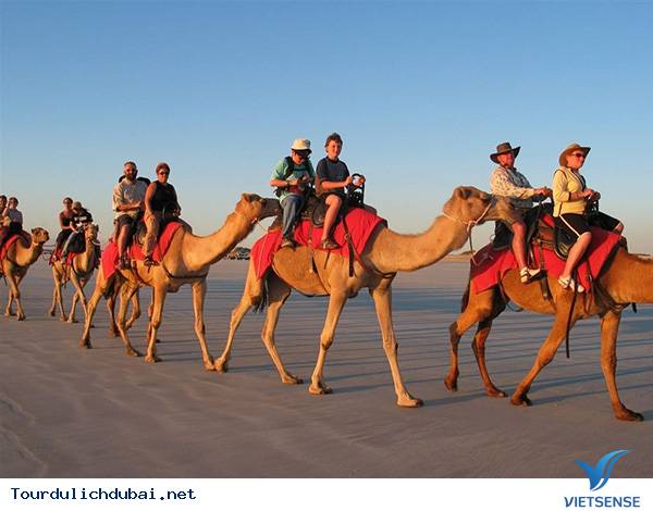 Sa mạc Dubai - Ảnh 2 Sa mạc Dubai - Ảnh 2