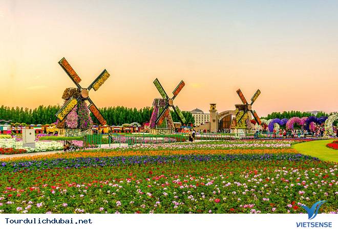 Chiêm Ngưỡng Vườn Hoa Diệu Kỳ Giữa Sa Mạc Ở Dubai - Ảnh 4 Chiêm Ngưỡng Vườn Hoa Diệu Kỳ Giữa Sa Mạc Ở Dubai - Ảnh 4