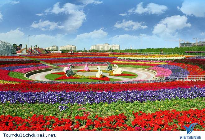 Chiêm Ngưỡng Vườn Hoa Diệu Kỳ Giữa Sa Mạc Ở Dubai - Ảnh 1 Chiêm Ngưỡng Vườn Hoa Diệu Kỳ Giữa Sa Mạc Ở Dubai - Ảnh 1