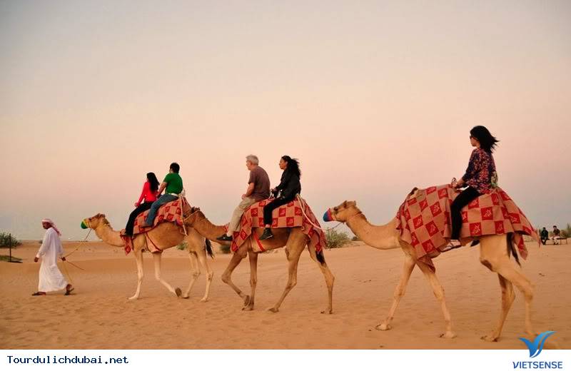 Chinh phục sa mạc Safari ở Dubai - Ảnh 1