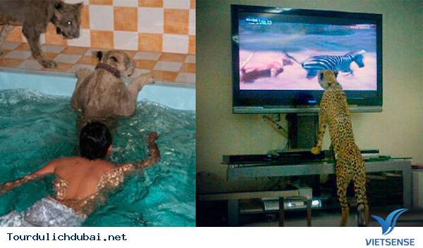 Đâu cũng thấy siêu xe - Ảnh 4 Đâu cũng thấy siêu xe - Ảnh 4