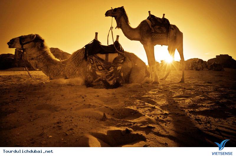 Đây không phải là thành phố để đi bộ Đây không phải là thành phố để đi bộ