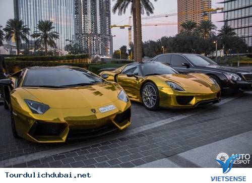 Đại gia Dubai và những thú vui cá biệt - Ảnh 4 Đại gia Dubai và những thú vui cá biệt - Ảnh 4