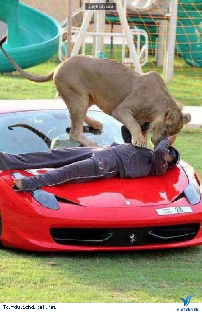 Điều “điên rồ” chỉ có ở Dubai - Ảnh 3 Điều “điên rồ” chỉ có ở Dubai - Ảnh 3