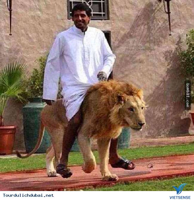 Điều “điên rồ” chỉ có ở Dubai - Ảnh 2 Điều “điên rồ” chỉ có ở Dubai - Ảnh 2
