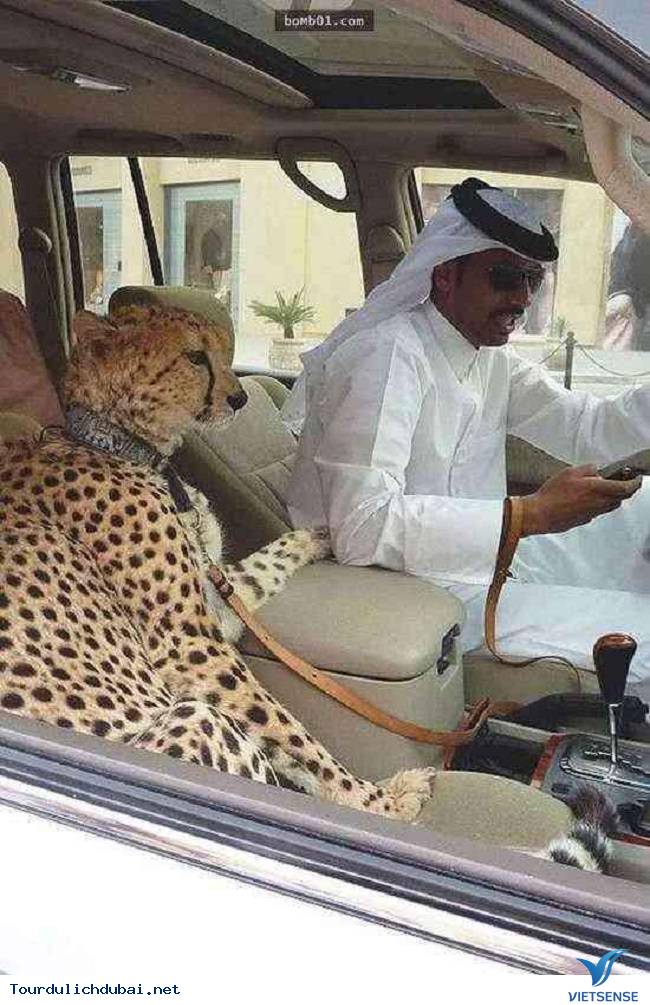 Điều “điên rồ” chỉ có ở Dubai - Ảnh 1 Điều “điên rồ” chỉ có ở Dubai - Ảnh 1