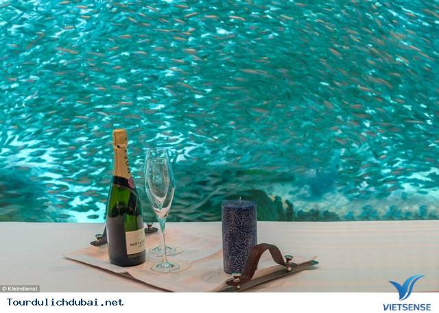 Dự án điên rồ với biệt thự giữa biển của Dubai - Ảnh 9