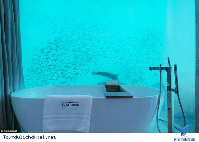 Dự án điên rồ với biệt thự giữa biển của Dubai - Ảnh 19