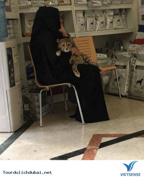 Hình ảnh bá đạo về sự giàu có của Dubai - Vietsense Travel - Ảnh 6