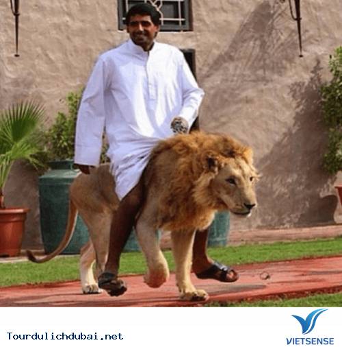 Hình ảnh bá đạo về sự giàu có của Dubai - Vietsense Travel - Ảnh 21