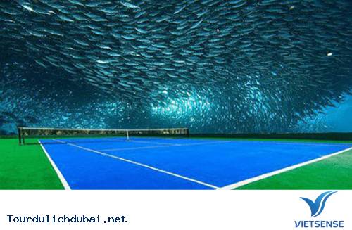 Hình ảnh bá đạo về sự giàu có của Dubai - Vietsense Travel - Ảnh 3