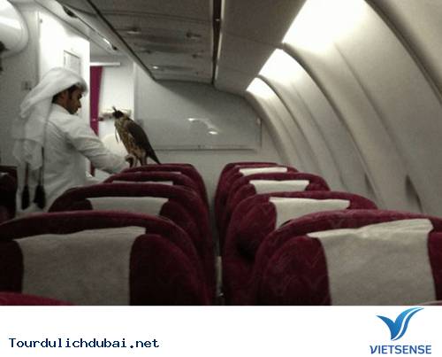 Hình ảnh bá đạo về sự giàu có của Dubai - Vietsense Travel - Ảnh 17