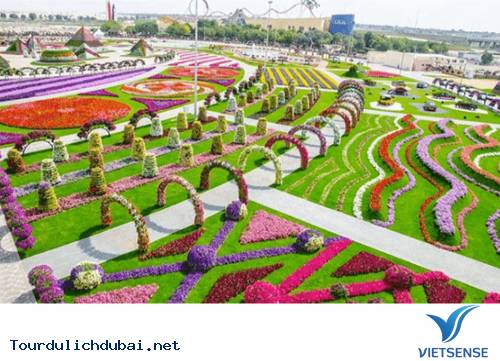 Hình ảnh bá đạo về sự giàu có của Dubai - Vietsense Travel - Ảnh 7