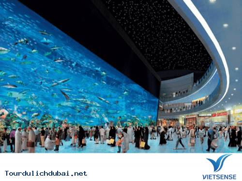 Hình ảnh bá đạo về sự giàu có của Dubai - Vietsense Travel - Ảnh 18