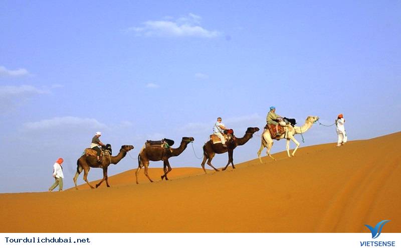 Cưỡi lạc đà Cưỡi lạc đà