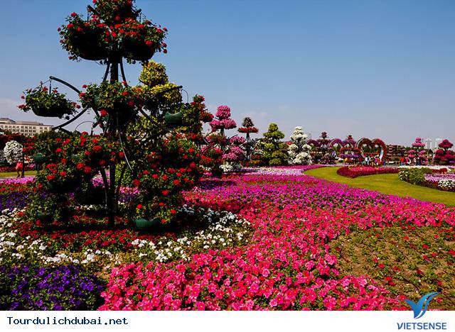 Khám phá vườn hoa lớn nhất thế giới ở Dubai - Ảnh 1 Khám phá vườn hoa lớn nhất thế giới ở Dubai - Ảnh 1