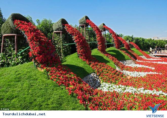 Khám phá vườn hoa lớn nhất thế giới ở Dubai - Ảnh 2 Khám phá vườn hoa lớn nhất thế giới ở Dubai - Ảnh 2