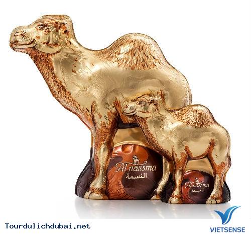 Socola sữa lạc đà